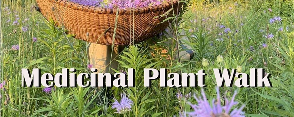 Medicinal Plant Walk
